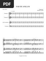 Par de Anillos -