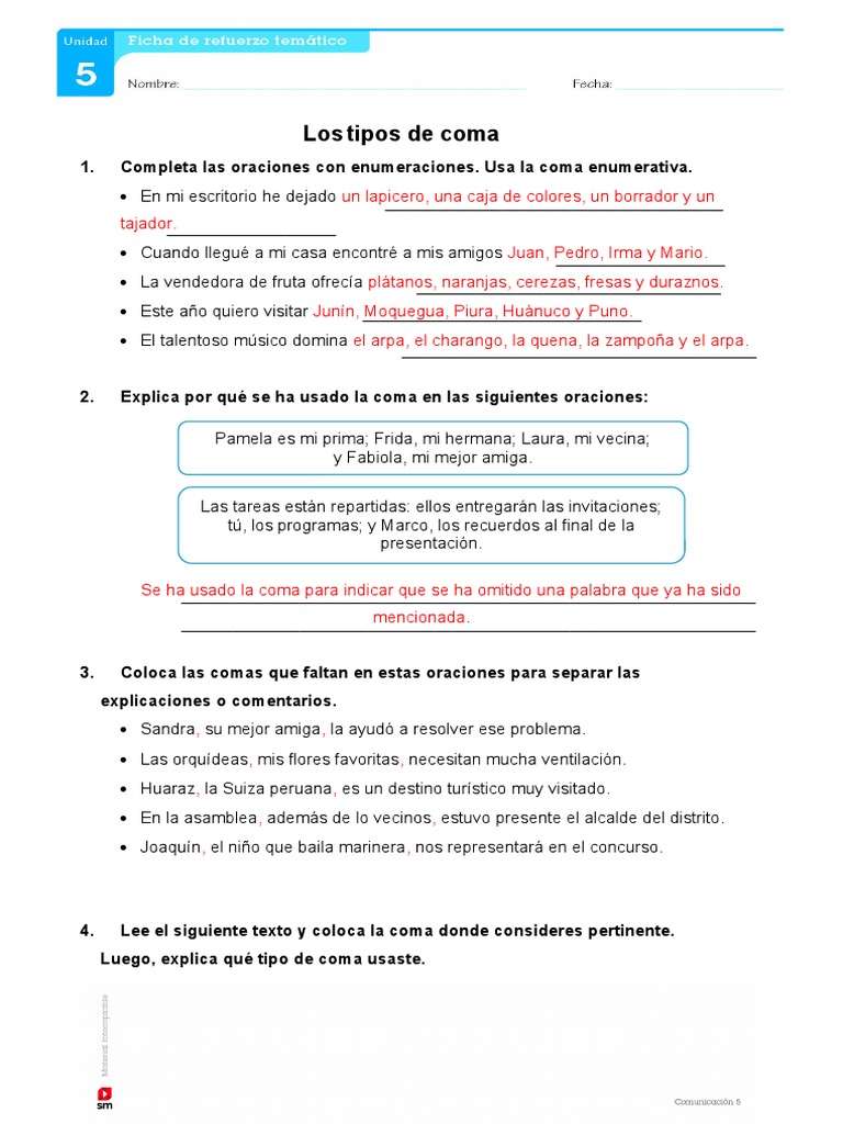 Uso de la Coma: Ejemplos y Reglas | PDF | Cibernética