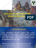 KELAS GIZI IBU HAMIL - Bolo