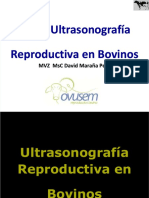 PDF Curso Ultrasonografia Bovinos DD