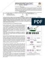 Guia 3 Iip Herencia