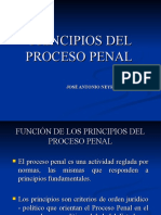 Principios Del Proceso Penal