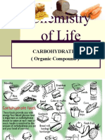 Chemistry of Life: Carbohydrates (Organic Compound)