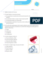 Estados de La Materia - Autoevaluacion 6to