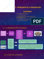 Problemas de La Organizacion Economica