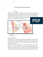 Adaptasi Fisiologis Pada Ibu Hamil