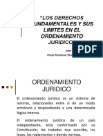 Limites A Los Derechos Fundamentales Juan Carlos Torres