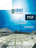 Sintesis Historica Edicion 2013