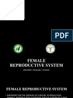 1 FEMALE REPRODUCTIVE SYSTEM 