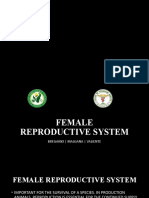 1 Female Reproductive System