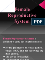 Female Reproductive System2