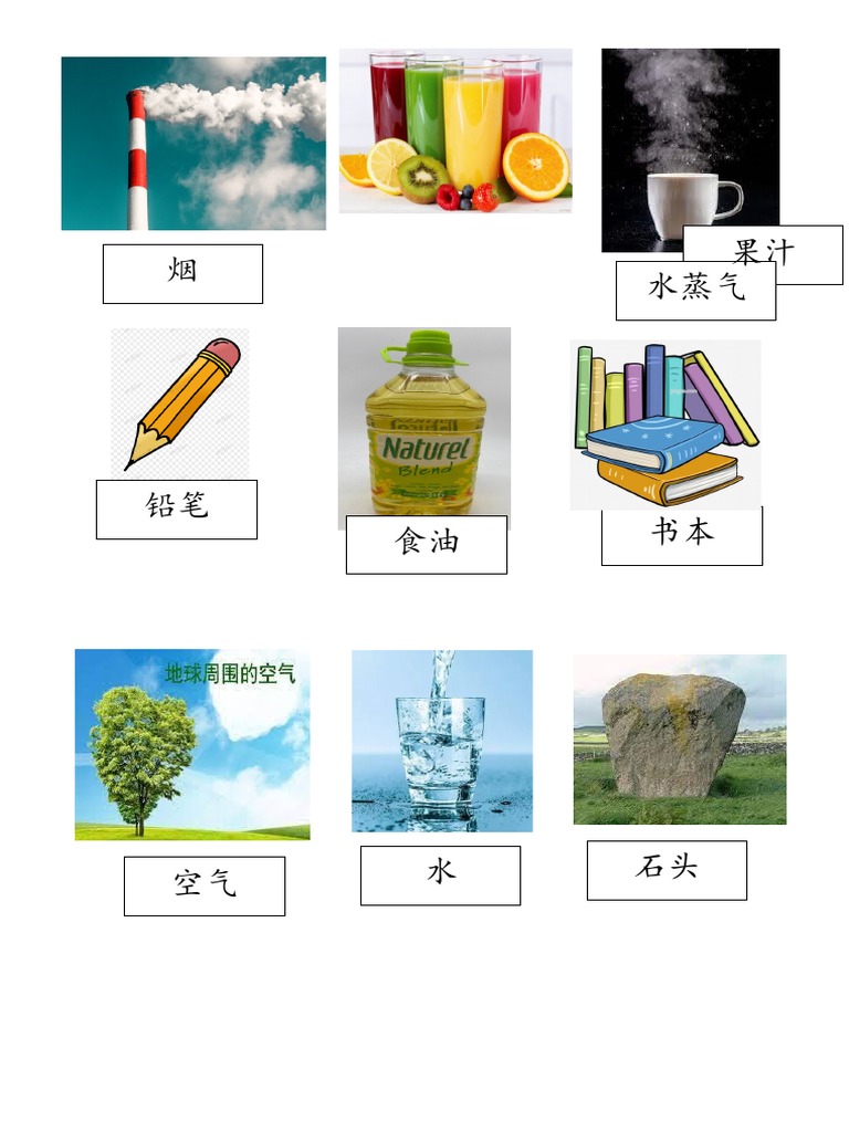 活动1 物质形态分一分 | PDF