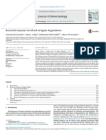 Journal of Biotechnology: Gonzalo de Gonzalo, Dana I. Colpa, Mohamed H.M. Habib, Marco W. Fraaije