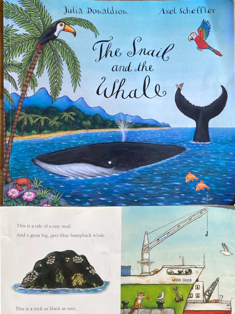 The Snail and The Whale - Compressed | PDF