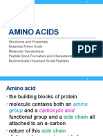 05 Amino Acids