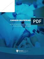 1565276422endogroup eBook Canais Calcificados Campanha 04 v1 Isa