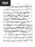 Donizetti Concertino Pdf Reader