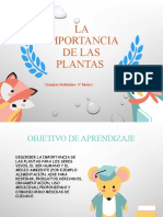 3rociencias Importancia de Las Plantas