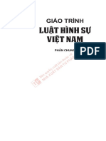 GT Luật Hình Sự Phần Chung - Nguyễn Ngọc Kiện