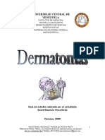 Guía de Estudio Dermatomas