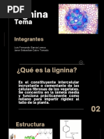 Composición y Estructura de la Lignina | PDF | Lignina | Plantas