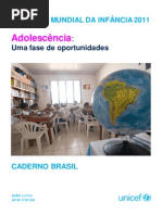 br_cadernoBR_SOWCR11(3)