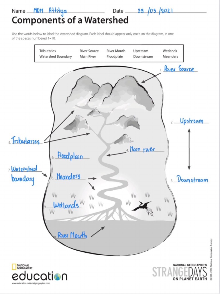 Labeling the Key Components of a Watershed: A Diagram Labeling Activity
