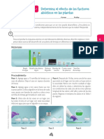 7050 - EXPERIMENTO #3 PG - 57 y 58 Actividades