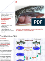 Enfermedades virales, bacterianas y parasitarias en salmónidos