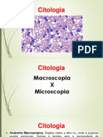 Citologia - Aula