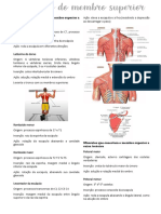 Resumo - Músculos Do Membro Superior PDF