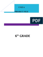 6 Grade: Unit 6 Project File
