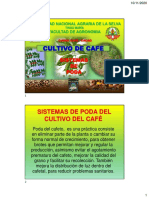 Cafe Tema 5 Podas 2019