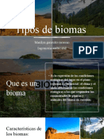Tipos de Biomas