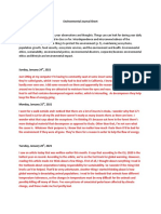 Environmental Journal Sheet Name: Ivo Ramirez