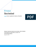 Ensayo Sociedad Anónima