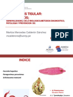 Teoria 8. Trematodos USMP 2019-2