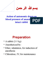 7-Action Drugs On BP in Intact Rabbit