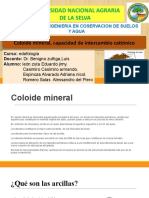 Coloide Mineral CIC 1