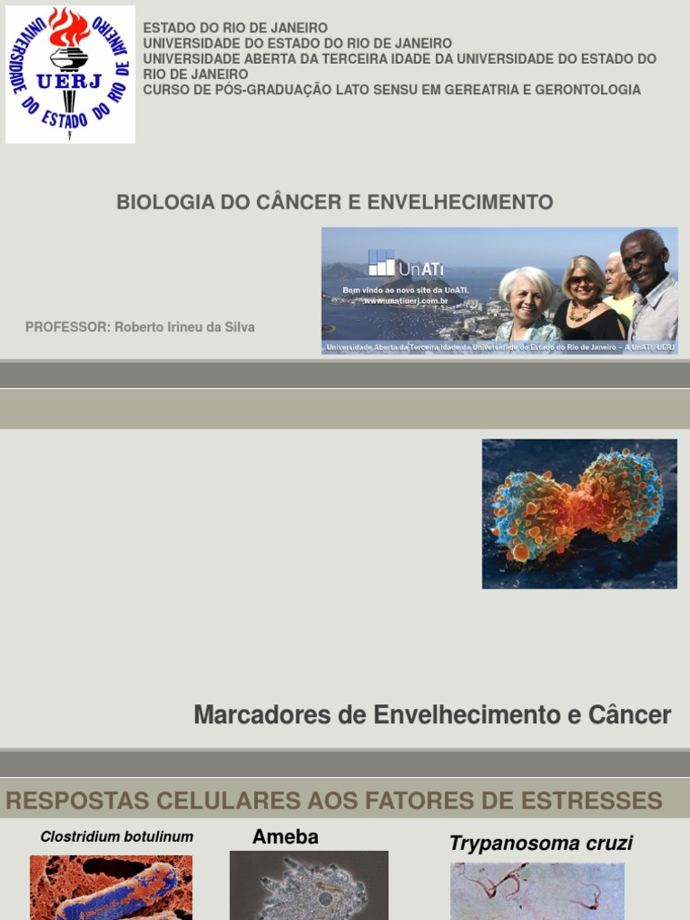 Biologia Molecular Do Cancer e Envelhecimento | PDF | Apoptose | Gene ...