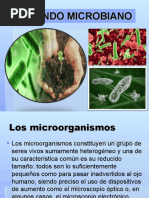 Clasificacion de Microorganismos