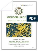 BIOFILMS+MICROBIANOS