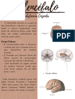 Resumo de neuro parcial