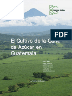 Libro Cultivo Caña Azucar GT 2015
