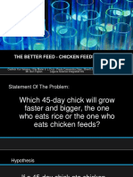 The Better Feed - Chicken Feeds vs. Rice