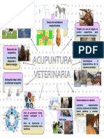 Acupuntura Veterinaria