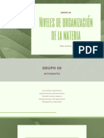 Tarea 1 Niveles Organizacion de La Materia