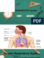  Respiratory System 