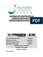 Informe de Auditoria A La Agnecia Nacional de Hidrocarburos