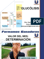 Glucólisis Ciclo 1-2020